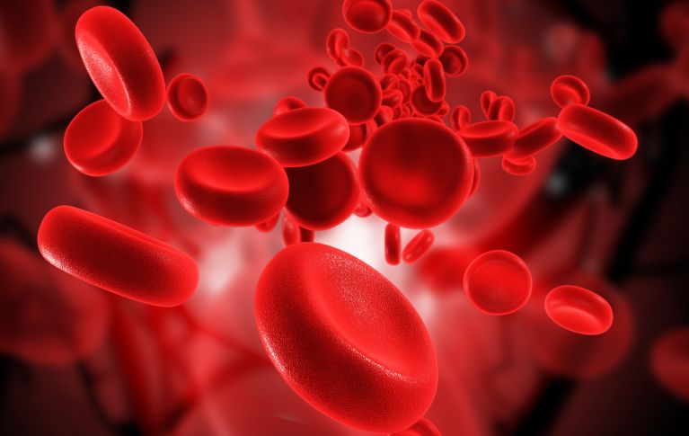 Illustration roter Blutkörperchen